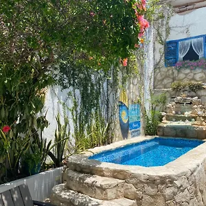 Guest house Caribo Cozumel