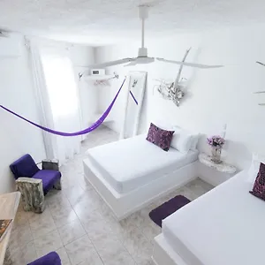 Casa Del Viento - Adults Only 3*, Isla Holbox México